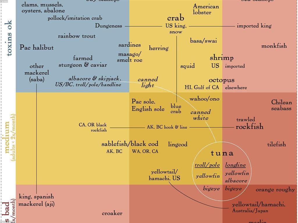 យុទ្ធសាស្ត្រសម្រាប់ការសម្រេចចិត្តក្នុងជីវិត