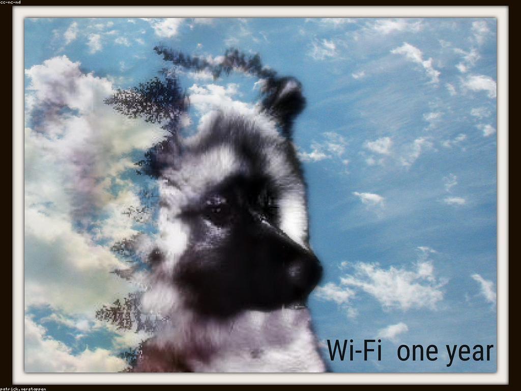 ការបង្ហាញសិល្បៈក្នុងសង្គមសម័យថ្មី