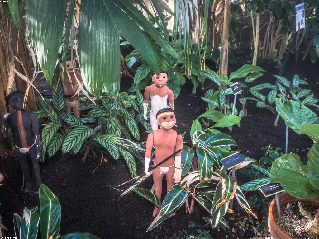 ការបង្ហាញសិល្បៈ: សិល្បៈនិងវប្បធម៌