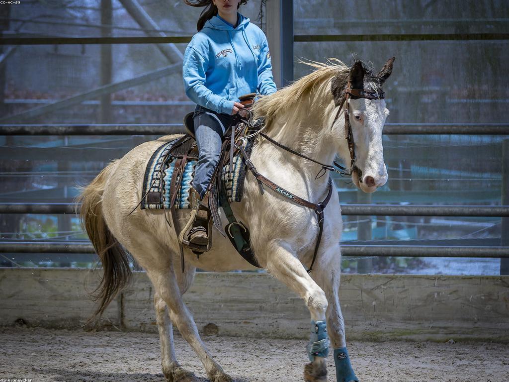 ααΈα‘αΆ αα·αααΆαααααα½α: αααα·ααααα αα·αααΆαα’αα·αααααα