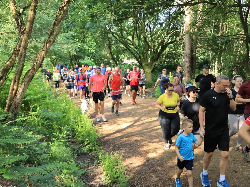 កីឡានិងការប្រកួត: ផលប៉ះពាល់របស់កីឡាលើសុខភាពផ្លូវចិត្ត