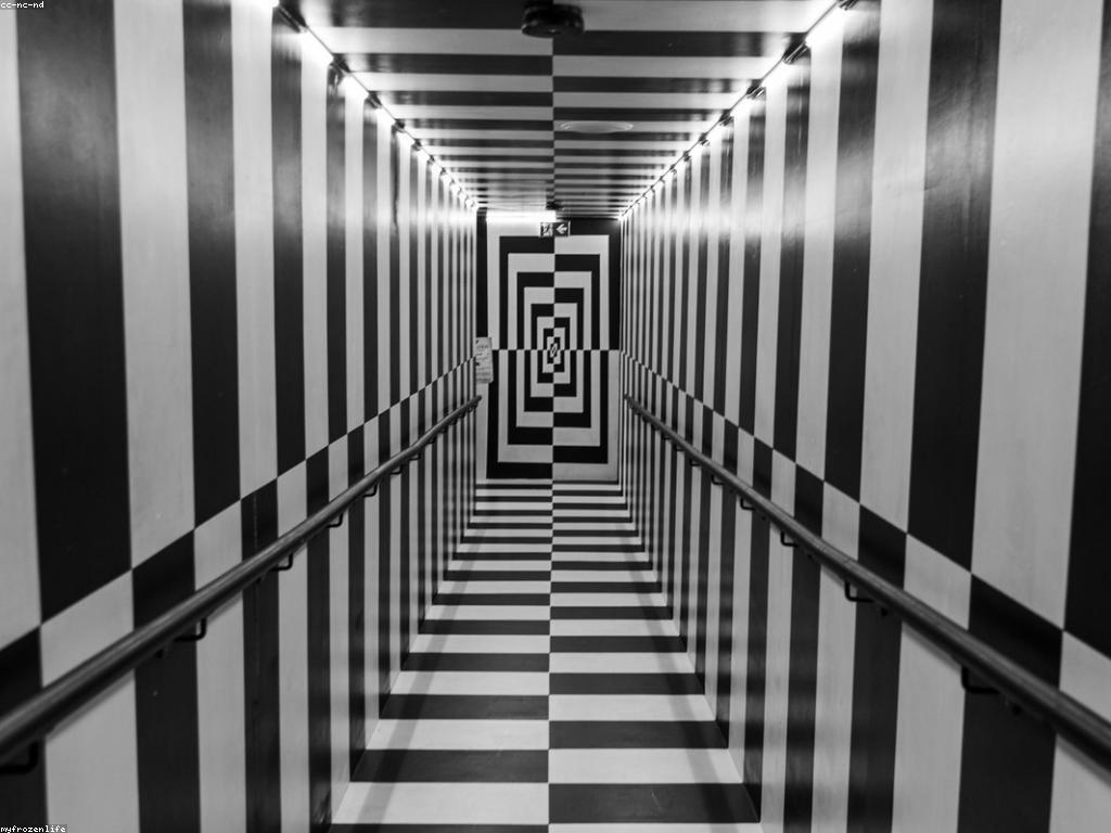 និន្នាការថ្មីៗក្នុងការបង្ហាញសិល្បៈ