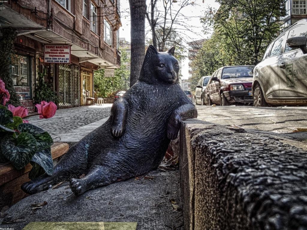 ផលប៉ះពាល់នៃការសម្រេចចិត្តជីវិត